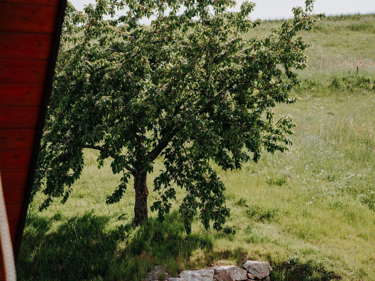 Waelderliebe Apartment