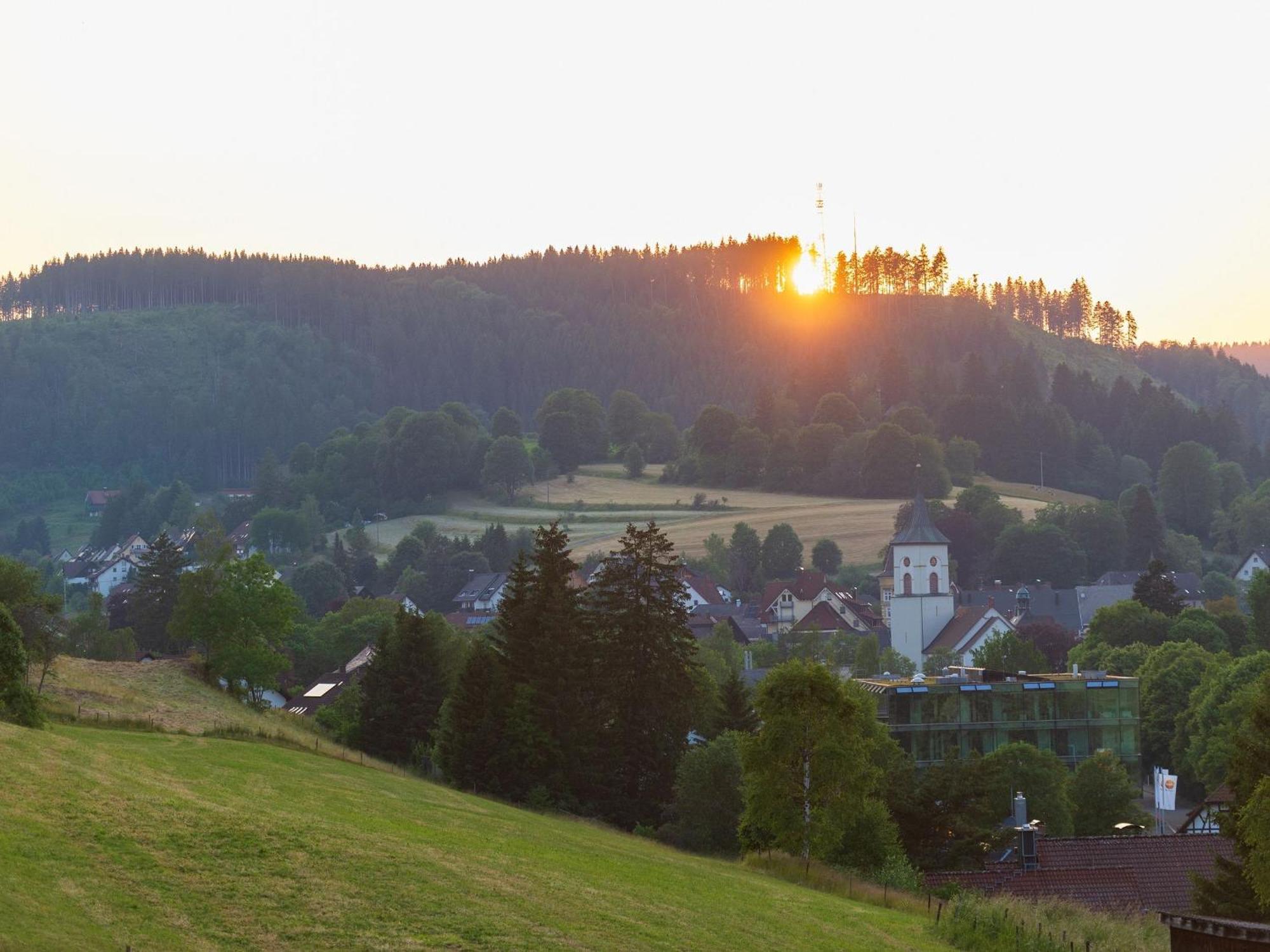 Waelderliebe *