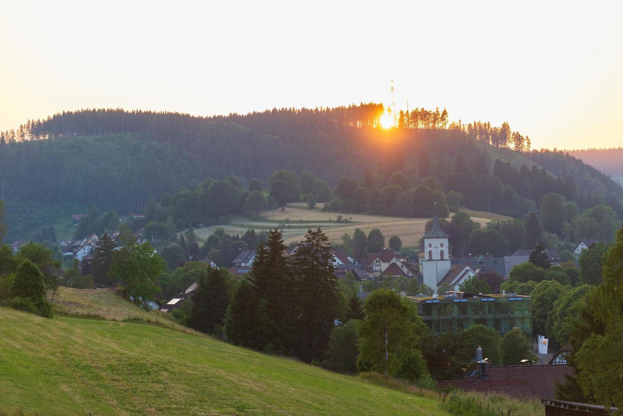 Waelderliebe Apartment Lenzkirch